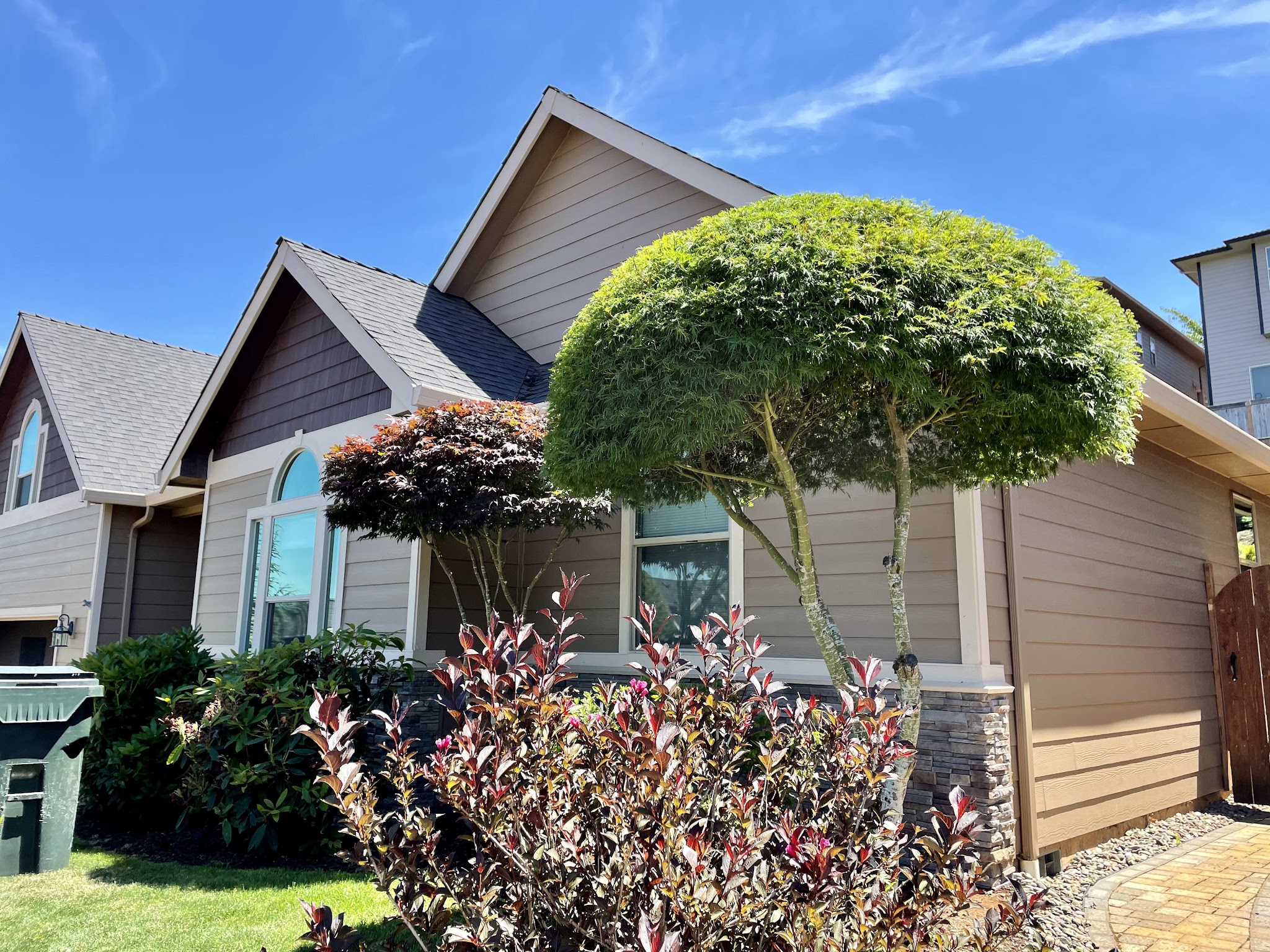 Ornamental trees shaped and pruned by Mid Valley Lawn Care